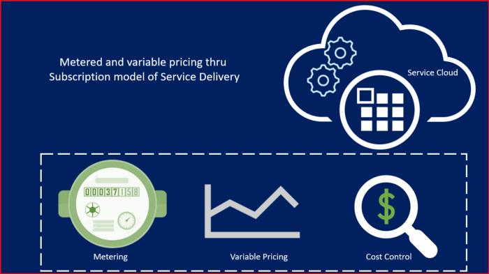 Metered pricing model in IT services